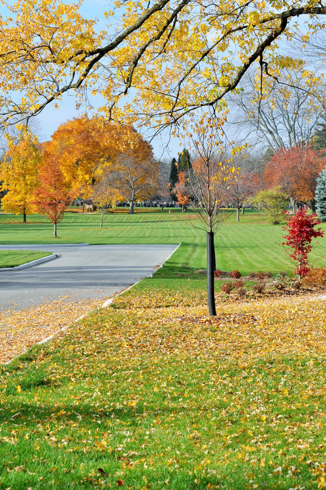 Hardscape Concrete Public Spaces