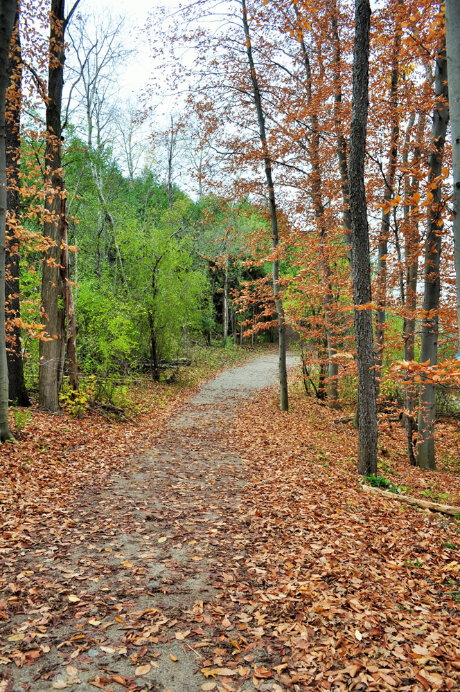 Hardscape Concrete Trails and Parks