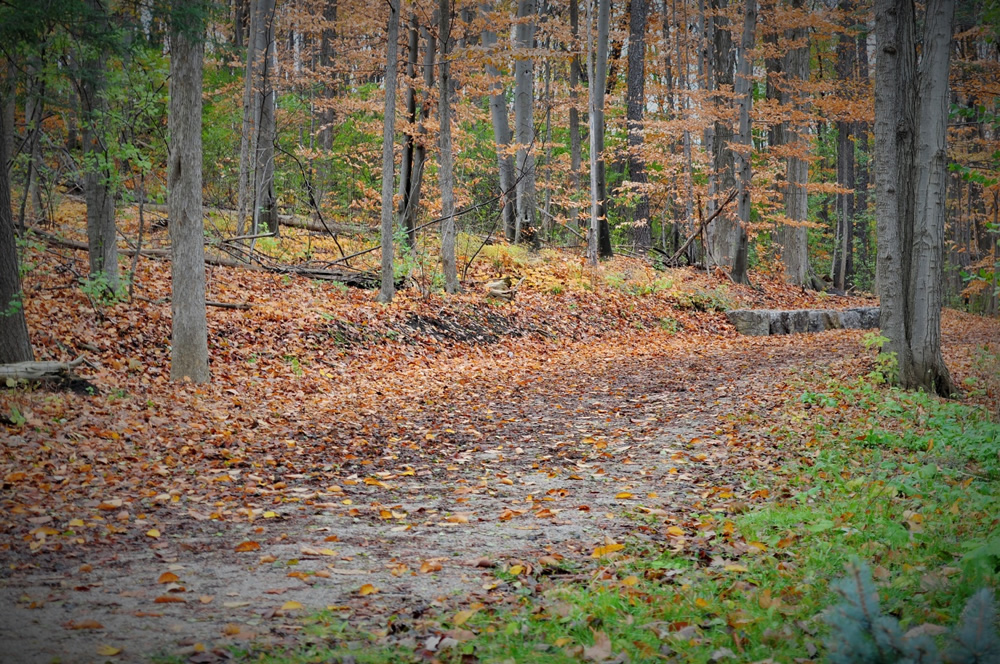 Hardscape Concrete Trails and Parks